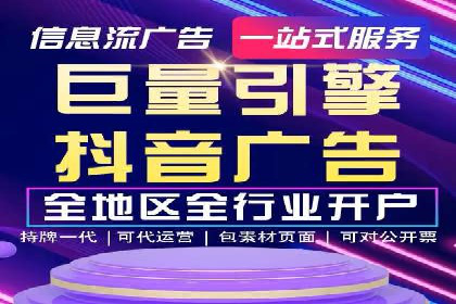 XX领域竞价广告的投放策略及效果展示